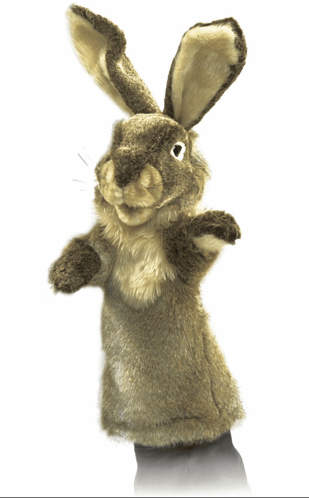 hase-stage-1.png
